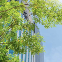 Suomalaiset toivovat keskustoilta nyt elämyksiä